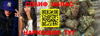 гашик Янаул