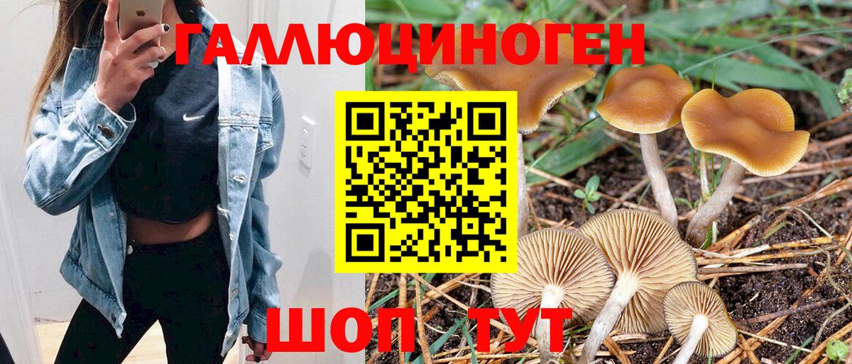 Галлюциногенные грибы мухоморы Бердск